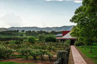 Book Pokolbin Accommodation Vacations Accommodation Bookings Accommodation Bookings