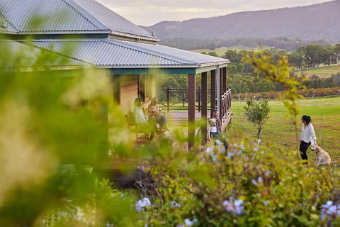 Hanging Tree Wines - Accommodation Bookings 3