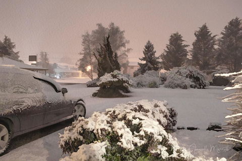 Highlands Motor Inn - Accommodation Bookings 3