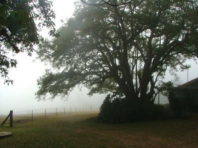 Hillview Cottages - Accommodation Bookings 3