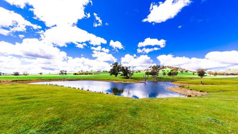 Hillview Farmstay - Accommodation Bookings 0