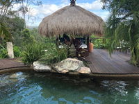 Book Maudsland Accommodation Vacations Accommodation Bookings Accommodation Bookings