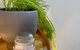 Homely Getaways In New Torquay - thumb 2