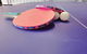 Homely Getaways In Surf Beach - Pet Friendly - thumb 3