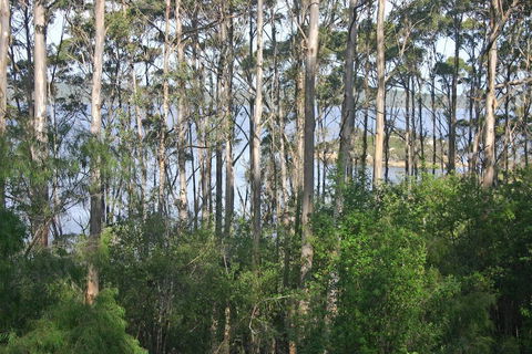 Honeymoon View - Accommodation Bookings 2