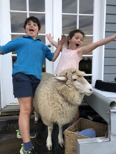 Jackaleah Farm Stay - Accommodation Bookings 2