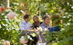 Jacobs Creek Retreat At Moorooroo Park - thumb 3