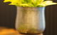 Jephson Hotel & Apartments - thumb 3