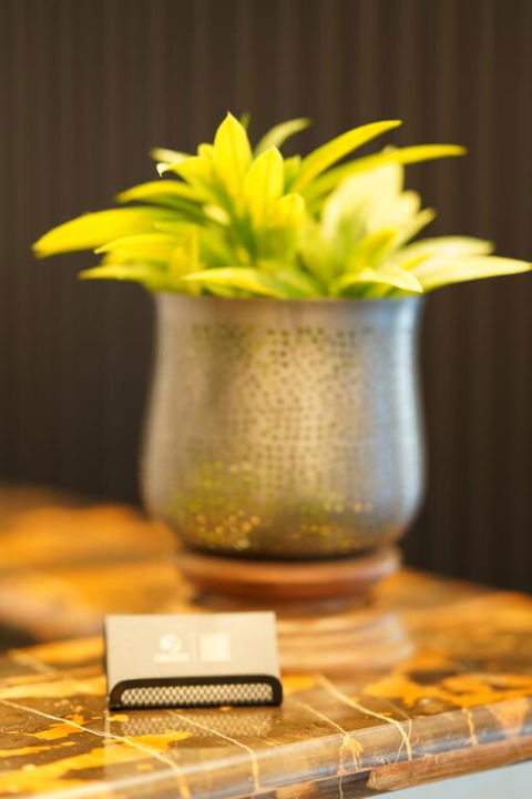Jephson Hotel & Apartments - Accommodation Bookings 3