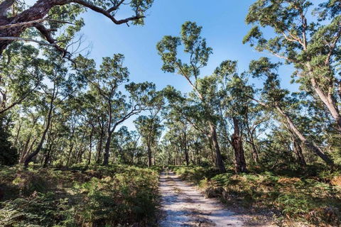 Jetty Views - Water Views On Raymond Island - Accommodation Bookings 1