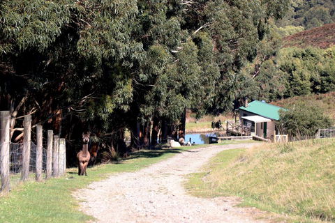 Johanna River Farm & Cottages - Accommodation Bookings 1