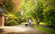 Johanna River Farm & Cottages - thumb 0