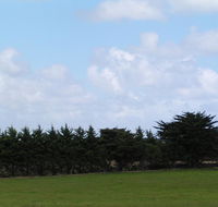 Karingal Homestead BB - Accommodation Bookings