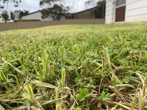 Karoonda Accommodation - Accommodation Bookings 0