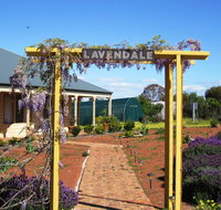 Lavendale Farmstay and Cottages York - Accommodation Bookings