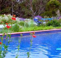 Lemonade Creek Cottages