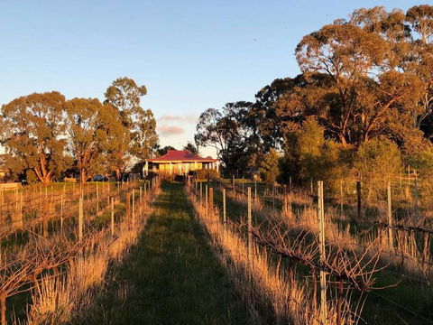 Lillicur Vineyard B&B - Accommodation Bookings 0