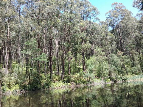 Lyrebird Gully Retreat - Accommodation Bookings 2