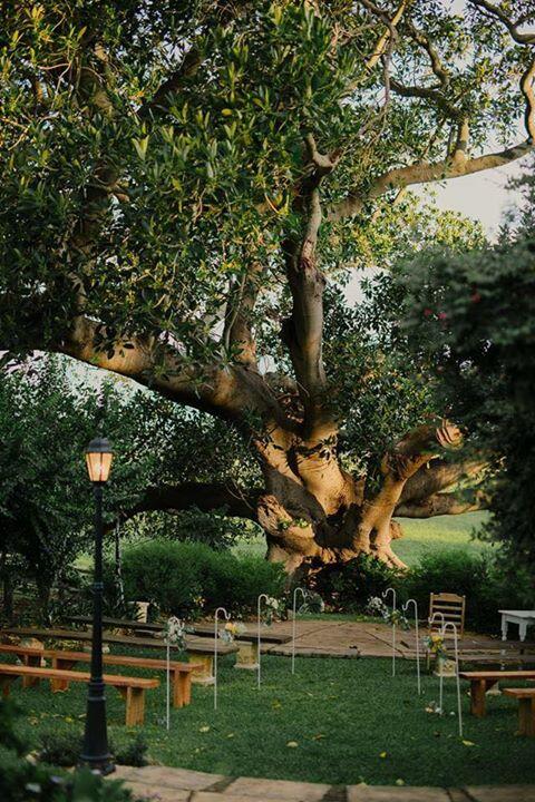 Maddies Of Bolwarra - Accommodation Bookings 3