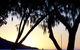 Maggies Beachfront Apt. 4 - thumb 3