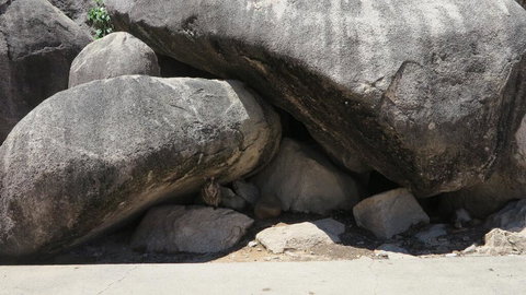 Magnetic North Unit 3 - Accommodation Bookings 3