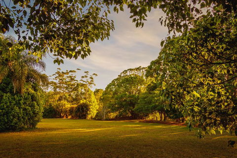 Malanda Lodge - Accommodation Bookings 1
