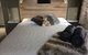 Maleny Luxury Cottages - thumb 0
