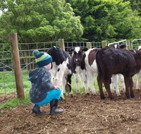 Manderley Park Farmstay BB