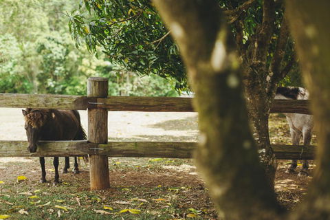 Mango Hill Farm - Accommodation Bookings 2