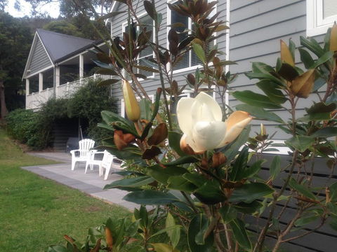 McCrae Lodge - Accommodation Bookings 1