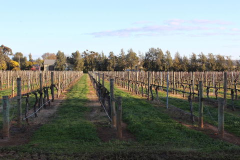Milawa Vineyard Views - Guesthouse 1 - Accommodation Bookings 1