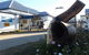 Monto Colonial Motor Inn - thumb 1