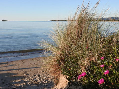 Moomba Holiday And Caravan Park - Accommodation Bookings 2