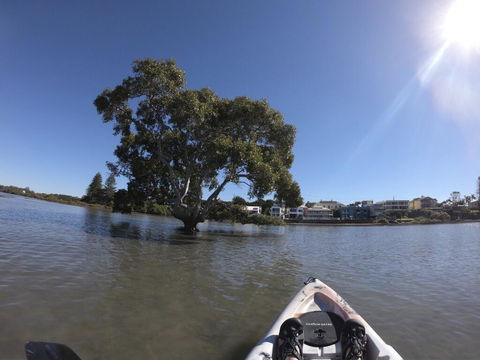 Moreton Bay Beach Lodge - Accommodation Bookings 1