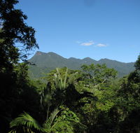 Mossman Gorge Bed and Breakfast