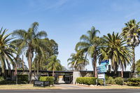 Motel Oasis