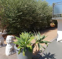 Mt.Lawley superb 2 BR Apartment Ideally located 5 - Accommodation Bookings