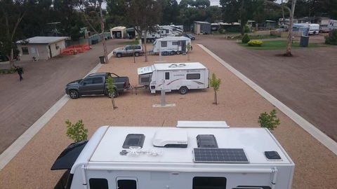 Murray Bridge Tourist Park - Accommodation Bookings 3
