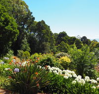 Murrindindi