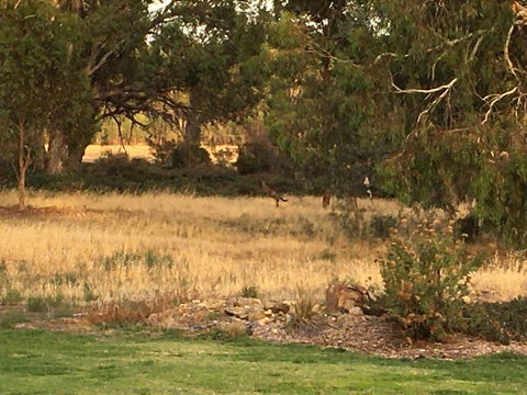 Murrord Wetlands - Accommodation Bookings 3