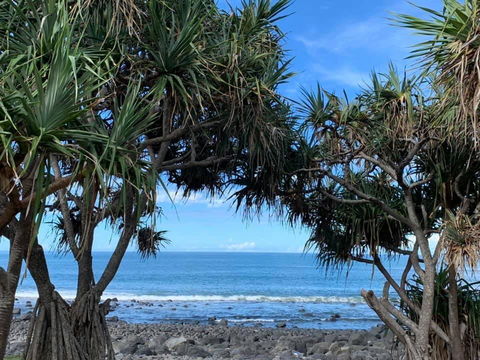 Nautilus Beachside Apartments - Accommodation Bookings 3