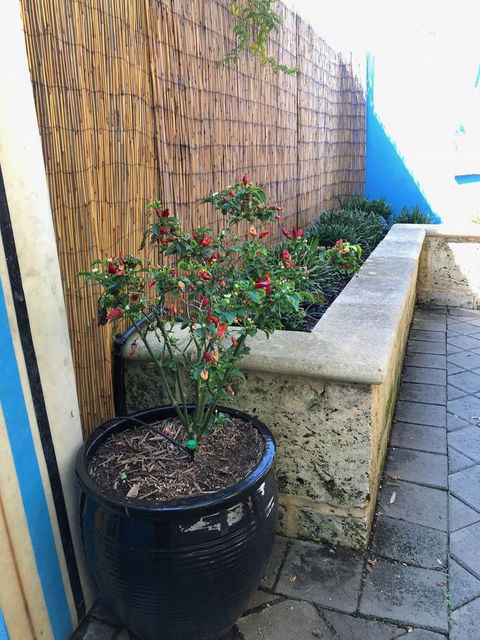 BeachHideaway@Scarborough - Accommodation Bookings 33