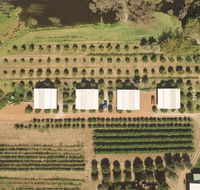 Swan Valley Sisters
