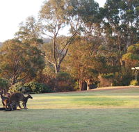 Riverside Retreat Chalets Walpole - Accommodation Bookings