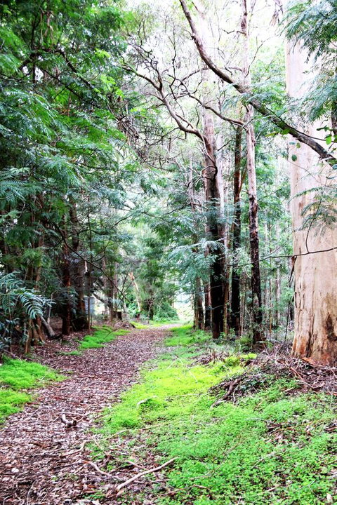 Treenbrook Cottages - Accommodation Bookings 12