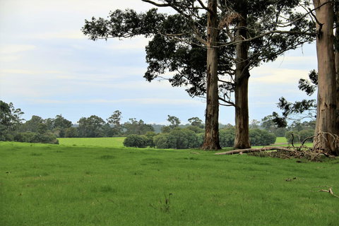 Treenbrook Cottages - Accommodation Bookings 11