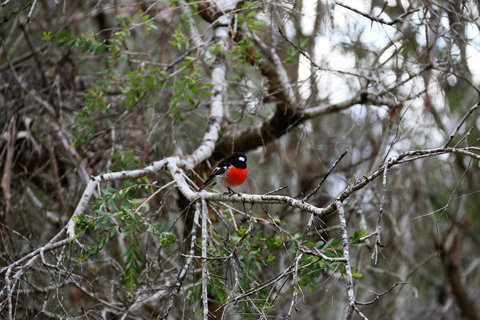 Treenbrook Cottages - Accommodation Bookings 5