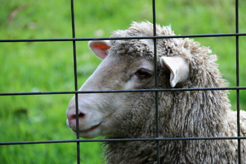 Treenbrook Cottages - Accommodation Bookings 10