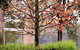 Treenbrook Cottages - thumb 6