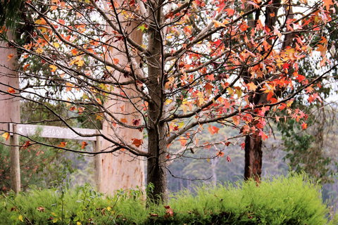 Treenbrook Cottages - Accommodation Bookings 6